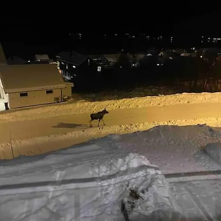 Casa Aurora: 8 Beds, 2 Baths, Free Parking, Breathtaking Views. Tromsø